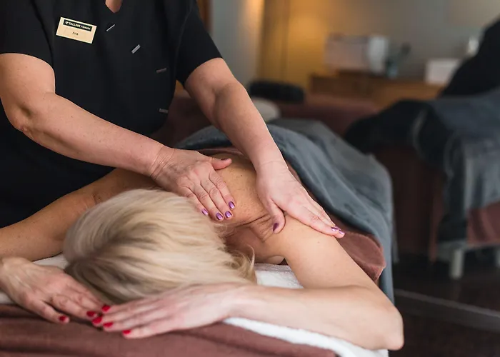 מלון Tallink Express 3*